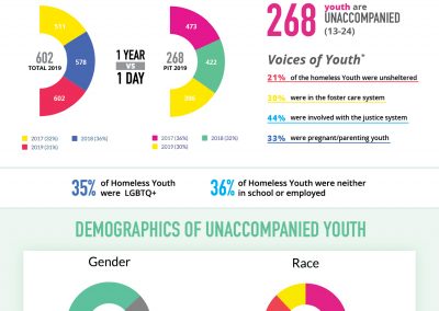 Unaccompanied Youth Factsheet